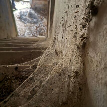 Bauernhof zum Anfassen