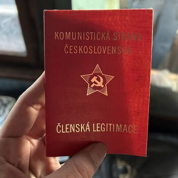 ᴅᴏᴍᴇᴋ ꜱ 🗡️