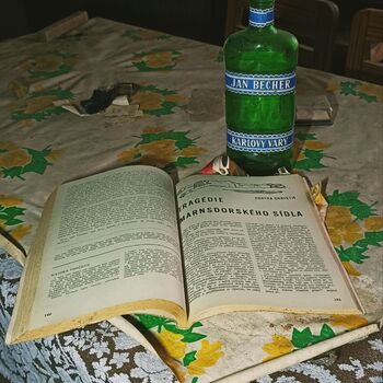 Doch eines Tages trennte sie der Tod ☠️🖤🕰️