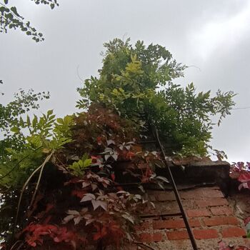 Olomouc - Opuštěný areál (můj 2. urbex) Olomouc - Opuštěný areál (můj 2. urbex)