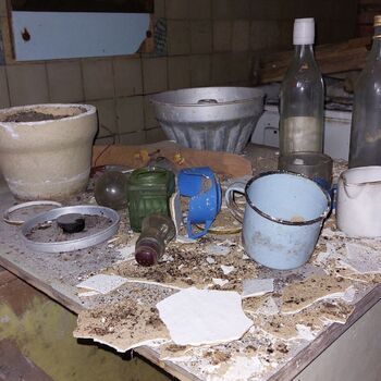 OPUŠTĚNÝ DOMEK U HLAVNÍ SILNICE