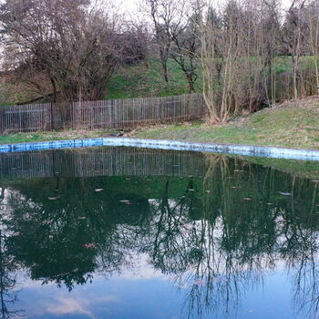 jezero strom voda krajina řeka Les