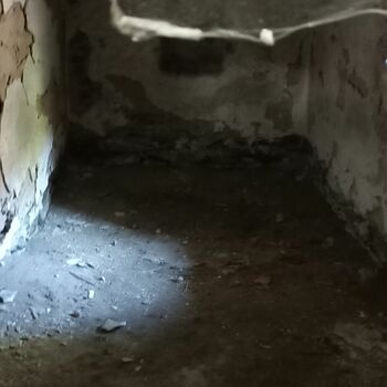 Abandoned House 2022