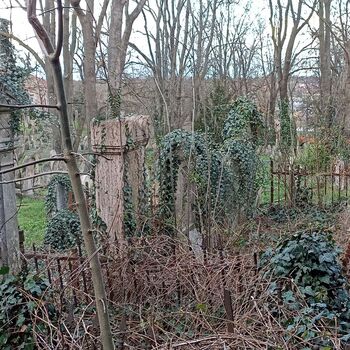 Jüdischer Friedhof 2024