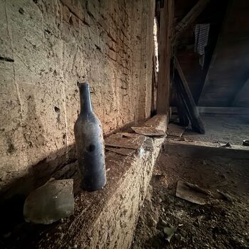 DDT, or the crocodile wasn't home