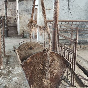 Abandoned farm building_2025