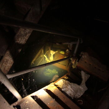 Die Zuckerfabrik, die nie Zucker gekocht hat Die Zuckerfabrik, die nie Zucker gekocht hat