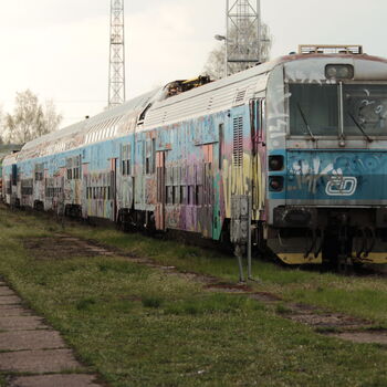 Bardotková Bardotková