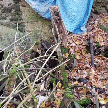 Urbex - Mühle bei V.......🐺🐺🐺🐺🐺🐺 Urbex - Mühle bei V.......🐺🐺🐺🐺🐺🐺