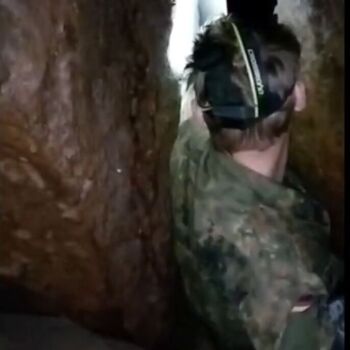 Schmale Galerie-Kletterpflanzen