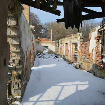 Building with greenhouses Building with greenhouses