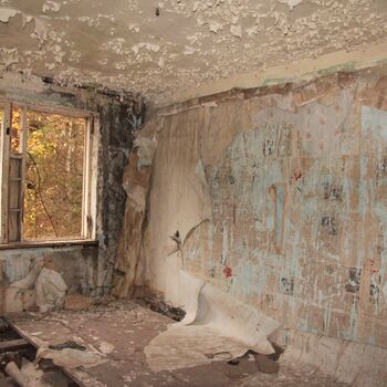 Kyjeváky in der Siedlung Ploužnice 2023