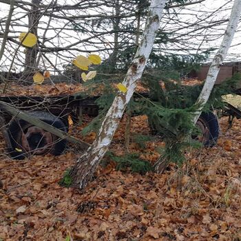 Urbex - Mühle bei V.......🐺🐺🐺🐺🐺🐺 Urbex - Mühle bei V.......🐺🐺🐺🐺🐺🐺