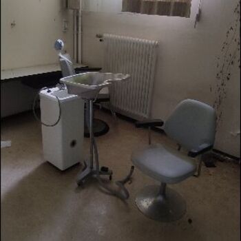 Die Schönheit der österreichischen hor🇦🇹🏔️❤️ Die Schönheit der österreichischen hor🇦🇹🏔️❤️