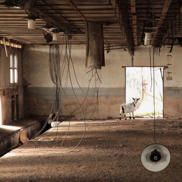 Kravín a prasečák BIOS