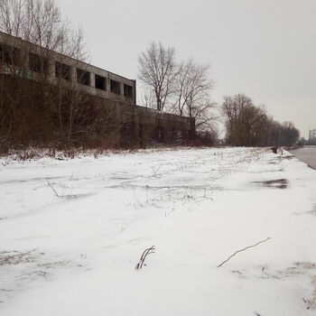 sníh počasí zima krajina studené stromy