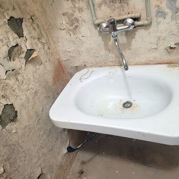 Štolák u velkého dubu.