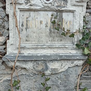 Friedhof 2022 Friedhof 2022