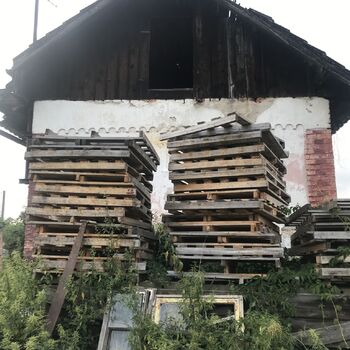 Cottage in the field