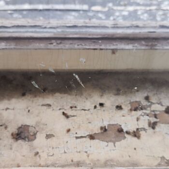 Bahnhof Jihlava Stadt_2024 Bahnhof Jihlava Stadt_2024