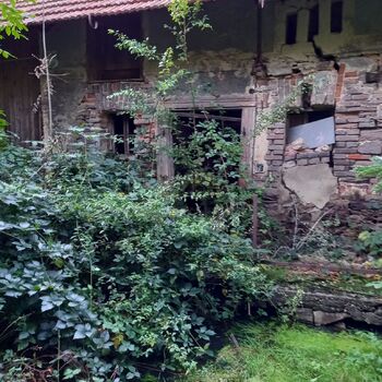 Homestead with a pond