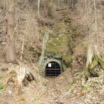 došky střecha strom