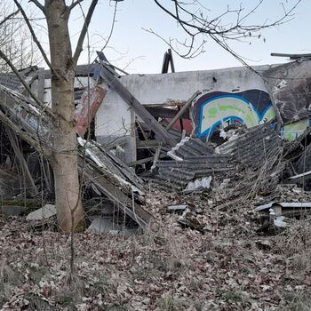 Calf (2025) Calf (2025)