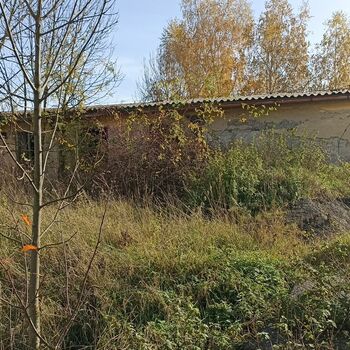 Kravin 2022 Kravin 2022