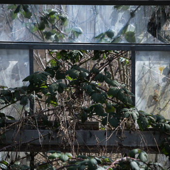 skleníkové budova struktura