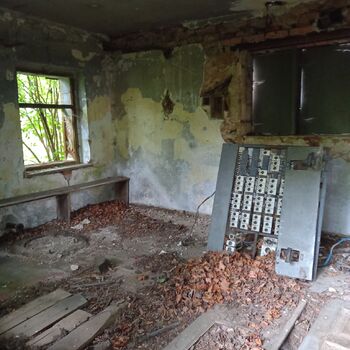 The disappearing sawmill