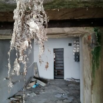 house old wall architecture building house old wall architecture building