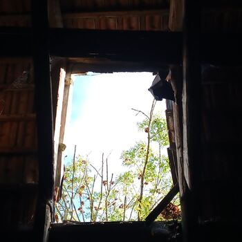 Homestead with a pond