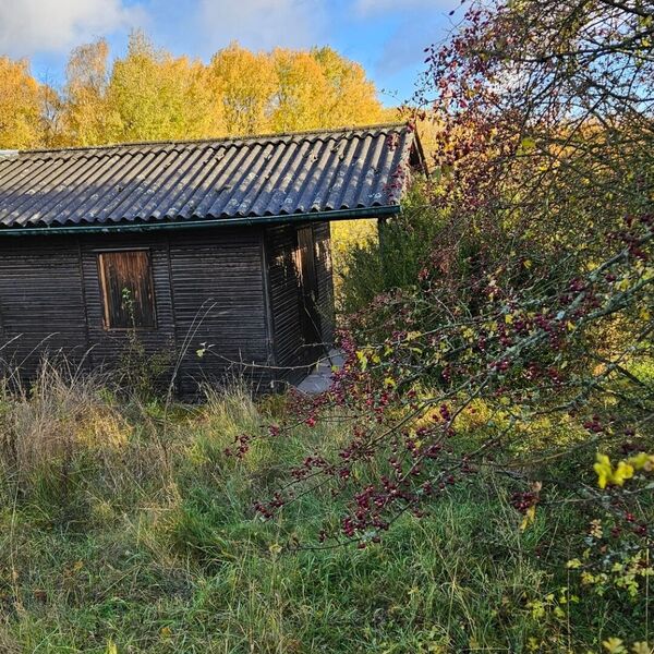 Eine Hütte in der Mitte von Nirgendwo