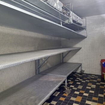 Das Leichenschauhaus