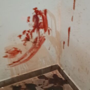 Olomouc - Hejčínský golem (mein 7. Urbex)