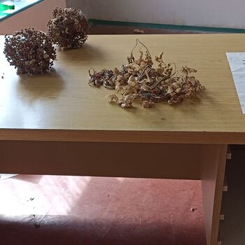 Water treatment plant 2023 Water treatment plant 2023