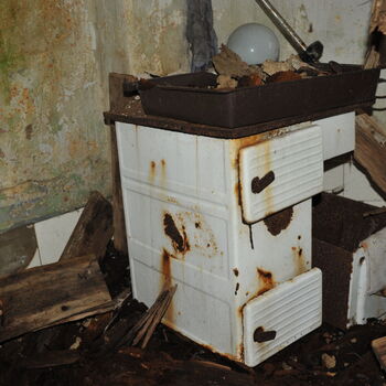 A grove in the Sudetenland.