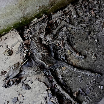 Bývalá záložní nemocnice