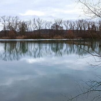 Czech Chernobyl 2022 Czech Chernobyl 2022