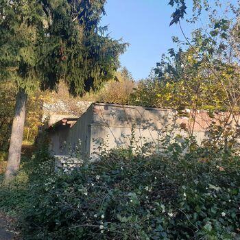 barn farm building building structure landscape