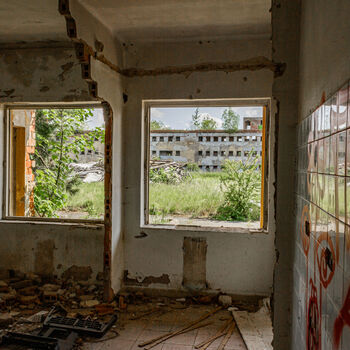 Landwirtschaftliche Fläche