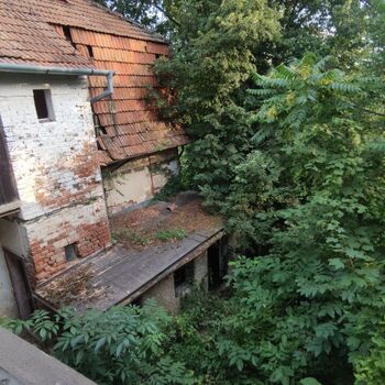 Haus von H.Z 🌿🪴🏚️ Haus von H.Z 🌿🪴🏚️