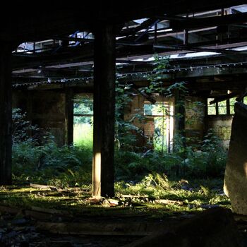 νσנєηѕкé + zємě∂ěℓѕкé αяєáℓу νσנєηѕкé + zємě∂ěℓѕкé αяєáℓу