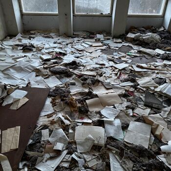 The abandoned sawmill