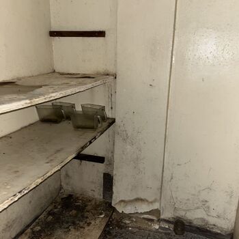 Abandoned school in Nature