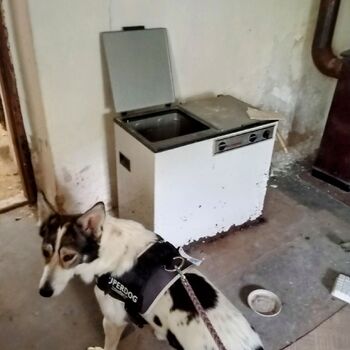 Tichý svědek tvrdého života