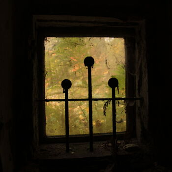 Rieger's Villa Rieger's Villa