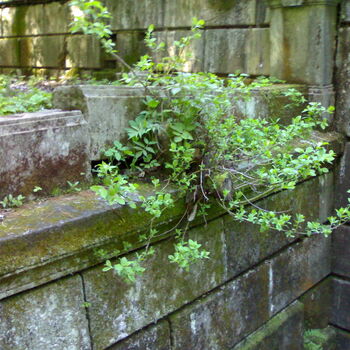 Mausoleum im Jeseníky-Gebirge