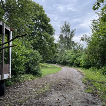 Abandoned school in Nature