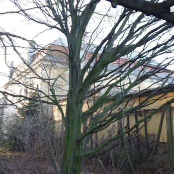 Urbex - Krysi-Schloss 2024